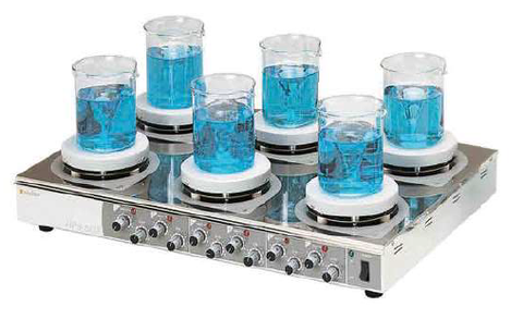 Máy khuấy từ gia nhiệt 6 vị trí, Model: HPS-600, Hãng: Taisite