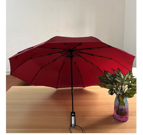 Ô GẬP 3 TỰ ĐỘNG 2 CHIỀU 10 NAN