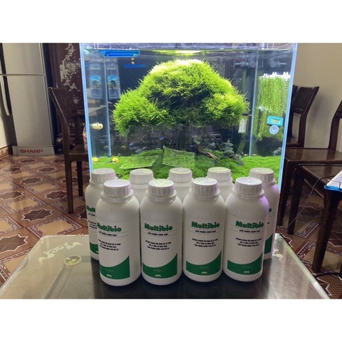 Vi Sinh Multibio - Khử mùi hôi tanh, làm trong nước thật nhanh (chai 500ml)