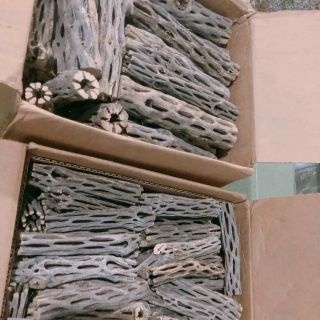 Lũa xương rồng Cholla Cactus size 15 cm chuyên dùng cho tép cảnh
