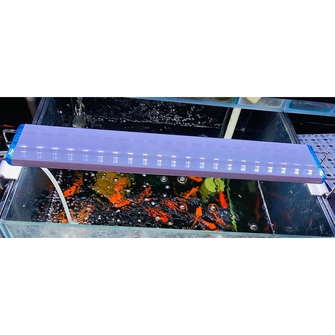 Đèn Led Máng KAOKUI 6 Hàng Bóng Ánh Sáng 10000K  - Thích Hợp cho Hồ Thủy Sinh từ 30cm tới 60cm