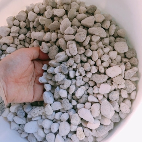 100ml Đá Matrix - Vật Liệu Lọc Cao Cấp cho Bộ Lọc Hồ Cá