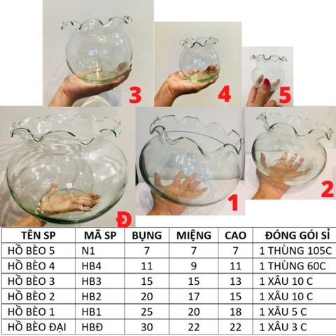Hồ Cá Thủy Tinh, Bể Cá Thủy Tinh Miệng Bèo - Trang Nhã, Tinh Tế, Thích Hợp Trang Trí Ko Gian Nhỏ