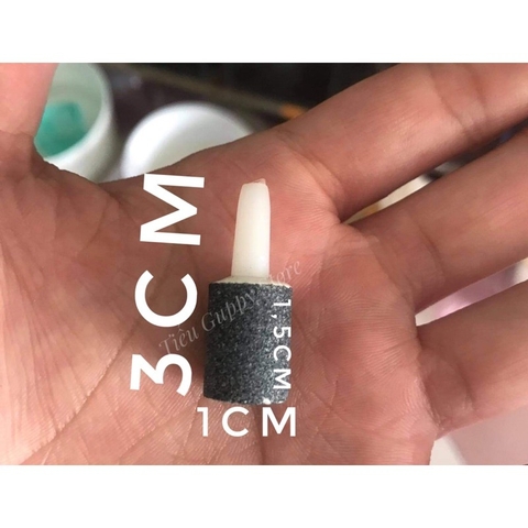 Cục sủi Mini dùng cho lọc Taiwan