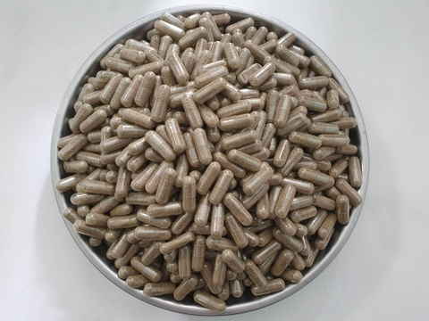 Artemia nước ngọt - viên con nhộng, dễ dàng ấp nở và nuôi sinh khối