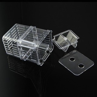 Lồng Đẻ Mica Cho Cá Guppy, Cá Mún, Cá Cảnh Nhỏ....