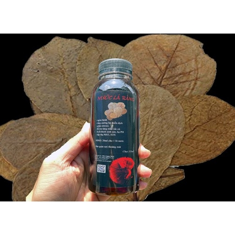 Nước Lá Bàng chai 335ml - giảm stress và tăng cường hệ miễn dịch cho cá Betta, cá Rồng