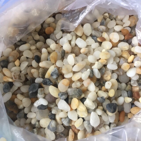 1 kg Sỏi thiên nhiên để trang trí hồ cá, chậu cây