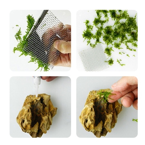 Keo Dán Rêu, Lũa, Ráy, Cây Thuỷ Sinh - Chuyên Dùng Dán Dưới Nước (tube 5g)