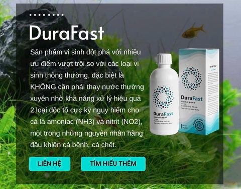 Combo Vi sinh DuraFast & Khoáng chọn lọc cao cấp EcoTrace xử lý độc tố cho hồ cá. Chai 300ml