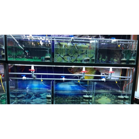 Đèn Led Thanh Siêu Sáng dùng Điện 220v cho Dàn Hồ Cá Cảnh