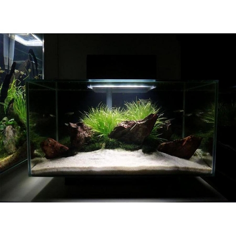 1kg Cát Thạch Anh Trắng Chuyên Dùng để Trải Nền, Trang Trí Hồ Cá và Lọc Cặn