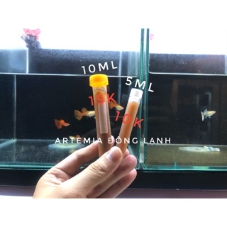 Artemia Ống - Thức Ăn Tốt Cho Cá Cảnh Nhỏ - Dùng Trực Tiếp Ko Cần Ấp