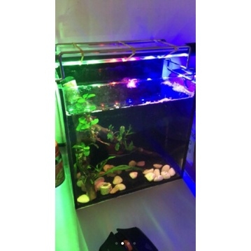 Đèn Led T4 Chìm Dưới Nước Giá Rẻ cho Bể Cá Cảnh - Nhiều màu sắc, Nhiều Kích Thước