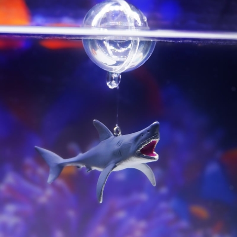 Mô Hình Cá Mập kèm Bong Bóng Nổi trên mặt nước – Phụ kiện độc đáo giúp bể cá thêm sinh động, đáng yêu và thu hút