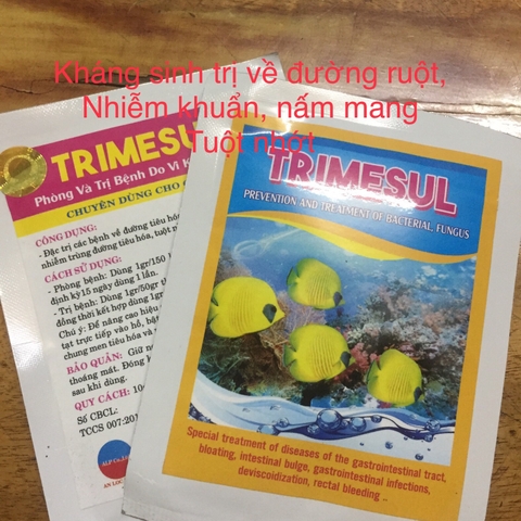 TRIMESUL - Hỗ Trợ Đường Ruột Cho Cá
