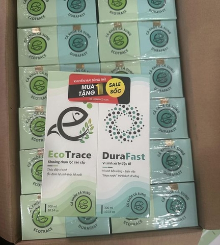 Combo Vi sinh DuraFast & Khoáng chọn lọc cao cấp EcoTrace xử lý độc tố cho hồ cá. Chai 300ml