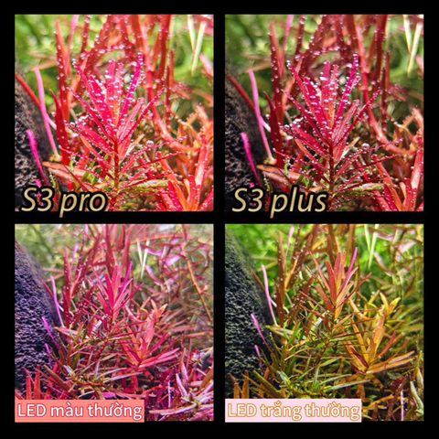 Đèn Neo-Helios Flat Nano S3 Pro, S3 Pro+ bản cao cấp RGB 3 in 1 Phiên bản mới | Đỏ cá không đỏ nước
