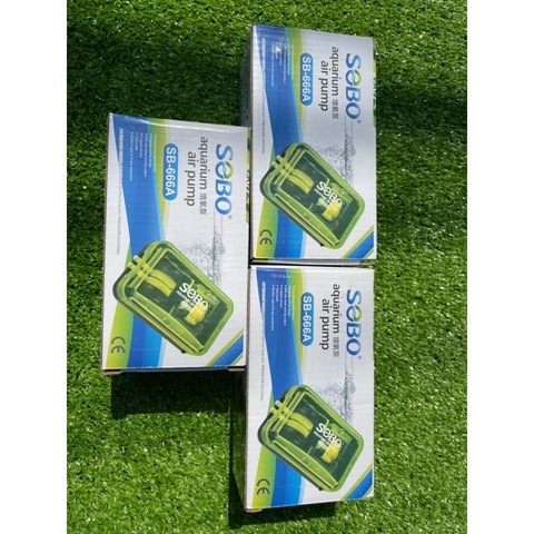 Máy Sủi Oxy SOBO Sb-333a và Sb-666a, chạy êm, kiểu dáng đẹp