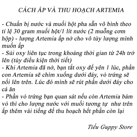 Artemia Ấp Nở TQ Lon Vàng tỉ lệ nở cao giá trị dinh dưỡng cao