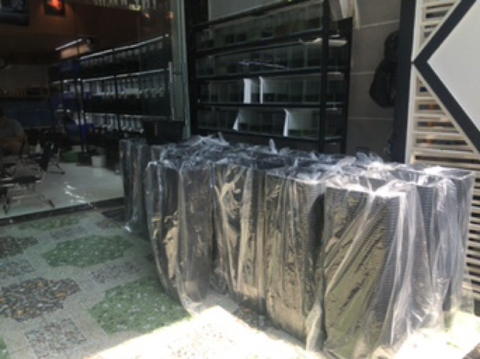 KHAY NHỰA NUÔI CÁ 7 lít 30x22x16cm, Kinh Tế và Tiện Lợi