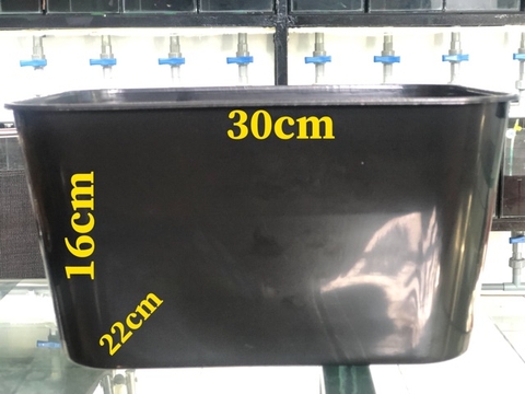 KHAY NHỰA NUÔI CÁ 7 lít 30x22x16cm, Kinh Tế và Tiện Lợi