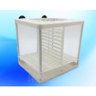 Lồng Vải, Lồng Dưỡng Cá cho các loại cá cảnh nhỏ