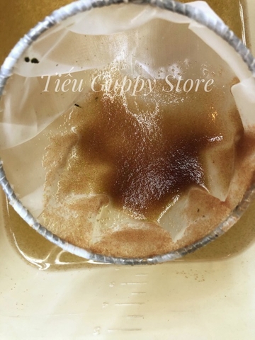 Vợt NANO siêu tiện lợi 3 trong 1