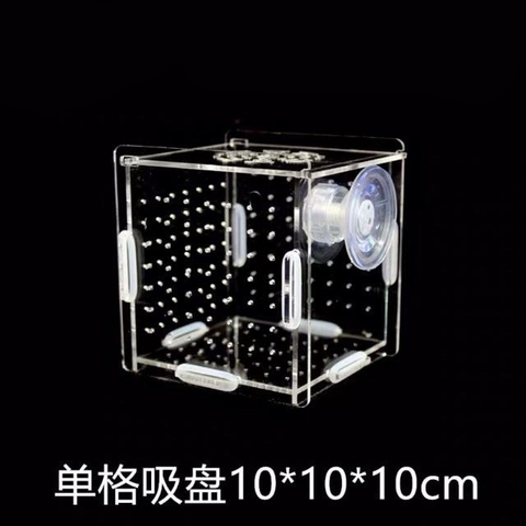 Box Tép và Lồng Dưỡng Cá bằng Mica Siêu Trong - KT: 10x10x10 và 20x10x10cm