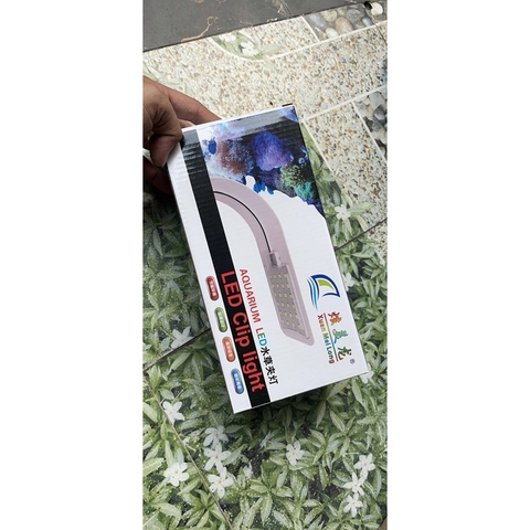 Đèn Led Mỏng XuanMeiLong đổi màu Led Clip Light 5w chuyên dùng cho hồ cá