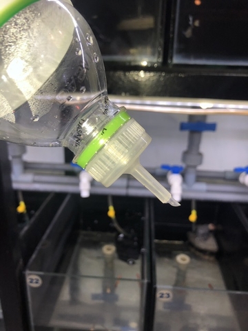 Nắp bình ấp Artemia