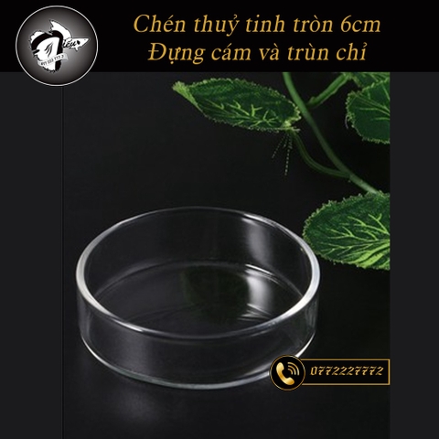 Chén Thuỷ Tinh hình tròn Đựng thức ăn, trùng chỉ cho Cá và Tép (đường kính 6cm)