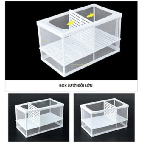 Lồng Vải, Lồng Dưỡng Cá cho các loại cá cảnh nhỏ