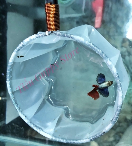 Vợt NANO siêu tiện lợi 3 trong 1