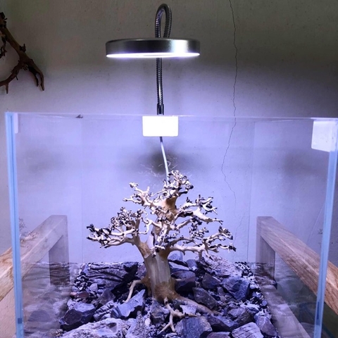 Đèn Led Kẹp Hồ Cá Thuy Sinh E-310