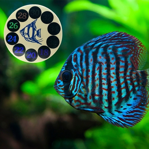 NHIỆT KẾ DÁN BOYU - BT04 CHO HỒ CÁ, BỂ CÁ