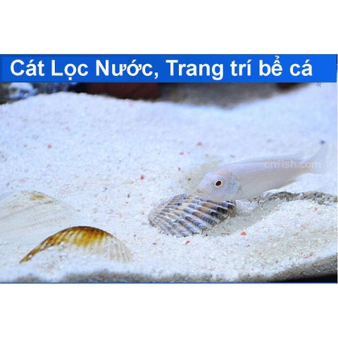 1kg Cát Thạch Anh Trắng Chuyên Dùng để Trải Nền, Trang Trí Hồ Cá và Lọc Cặn