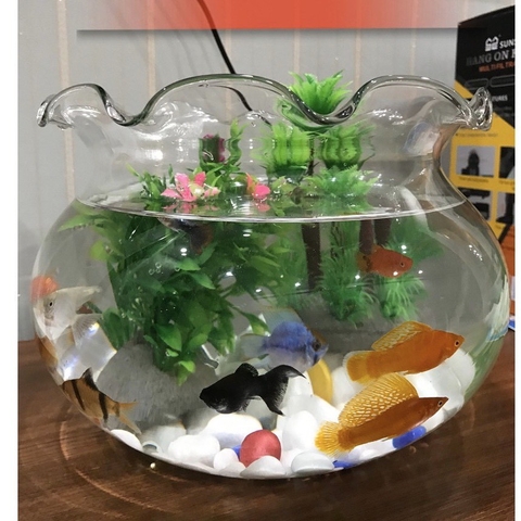 Hồ Cá Thủy Tinh, Bể Cá Thủy Tinh Miệng Bèo - Trang Nhã, Tinh Tế, Thích Hợp Trang Trí Ko Gian Nhỏ