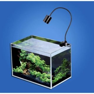 Đèn Led Rọi Thuỷ Sinh Biotop - Thích Hợp cho những hồ Thuỷ Sinh, hồ Bán Cạn, Hồ Tiểu Cảnh...
