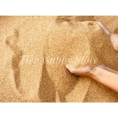 Cát Nắng Vàng Trải Nền Bể Thuỷ Sinh | Cát Trang Trí Bể Cá Cảnh, Thuỷ Sinh