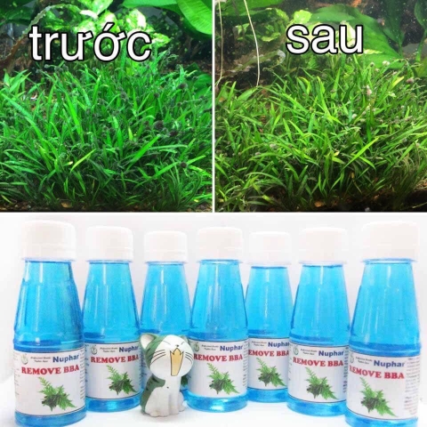 Nuphar REMOVE BBA - Diệt rêu hại hồ thuỷ sinh