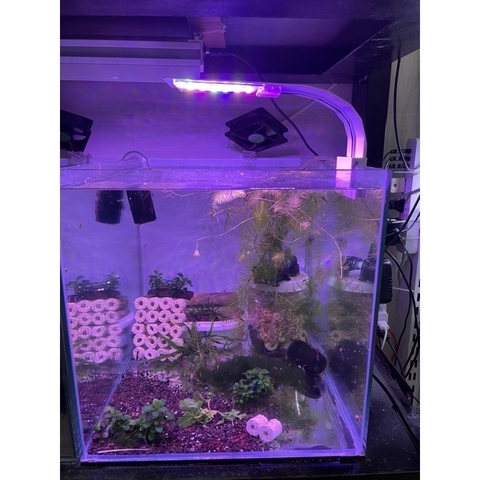 Đèn Led kẹp Vipsun M-280 chuyên dùng cho hồ cá