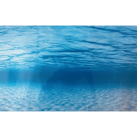 Tranh Nền Trang Trí Hồ Cá - có 2 mặt tùy thích thay đổi (giao mẫu ngẫu nhiên)