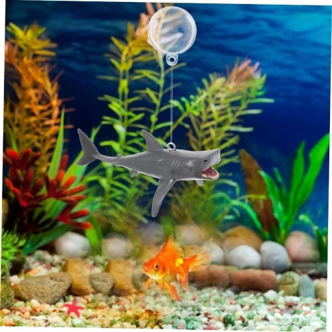 Mô Hình Cá Mập kèm Bong Bóng Nổi trên mặt nước – Phụ kiện độc đáo giúp bể cá thêm sinh động, đáng yêu và thu hút