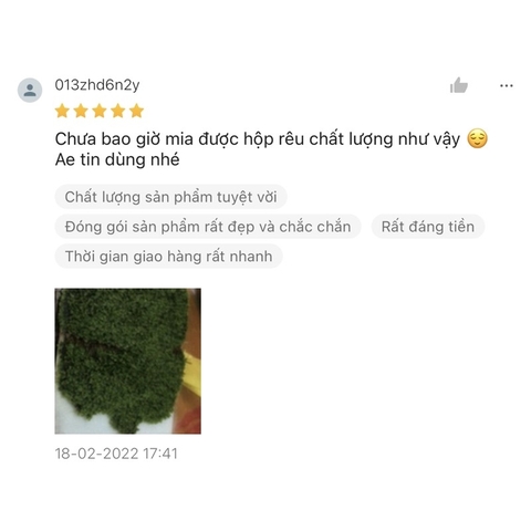 RÊU MINIFISS LÁ NƯỚC TRẢI NỀN CHO HỒ THUỶ SINH - HÀNG DẦY ĐẸP (1 hộp 5 tấc 10x15cm)