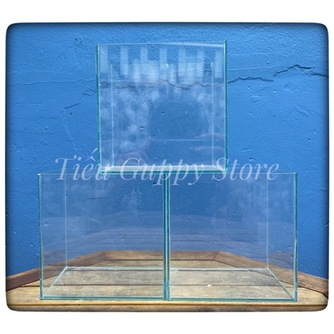 Hồ kính nuôi Betta, Keo Betta KT 15x10x15cm - kính 3 li dán giấu keo