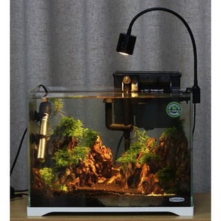 Đèn Led Rọi Thuỷ Sinh Biotop - Thích Hợp cho những hồ Thuỷ Sinh, hồ Bán Cạn, Hồ Tiểu Cảnh...