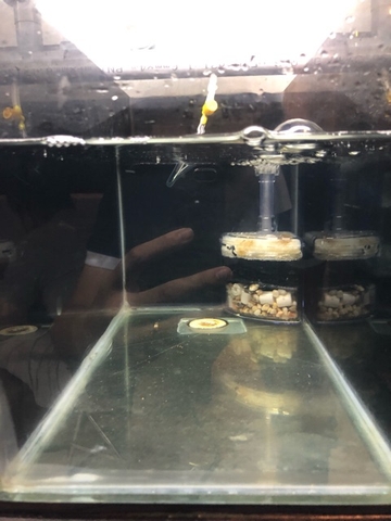 Lọc góc kiểu dáng đẹp Xy-2008 và Xy-2010, sử dụng tốt nhất cho hồ cá