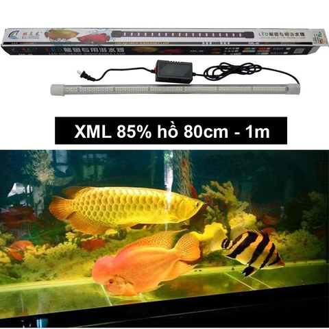 Đèn Led XML Cao Cấp 2 Hàng Bóng cho Hồ Cá Rồng
