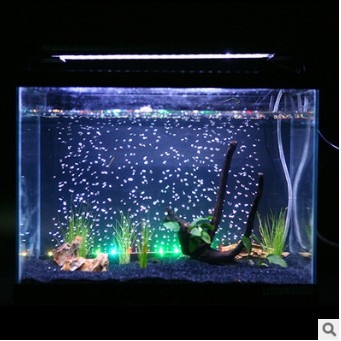 Đèn Led T4 Chìm Dưới Nước Giá Rẻ cho Bể Cá Cảnh - Nhiều màu sắc, Nhiều Kích Thước